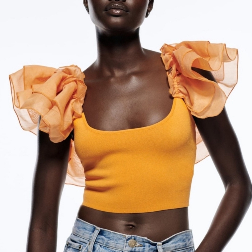 Zara organza sleeved knit crop top